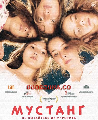 Мустанг (2015) Мустанг (2015)