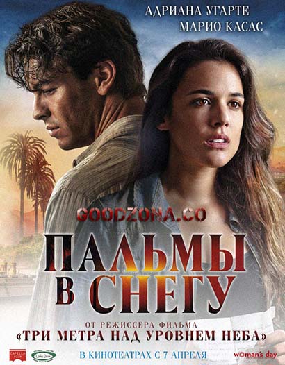 Пальмы в снегу Пальмы в снегу