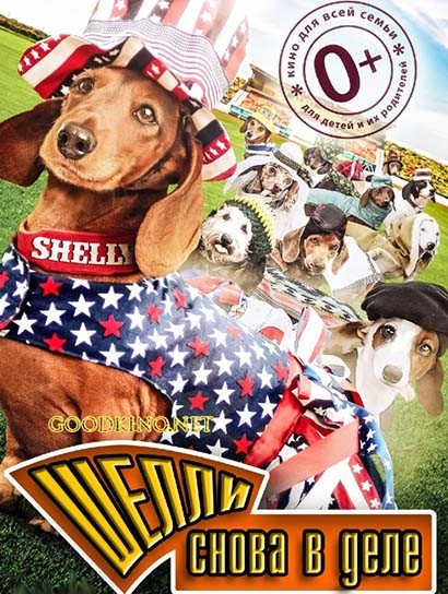 Шелли снова в деле (2015) Шелли снова в деле (2015)