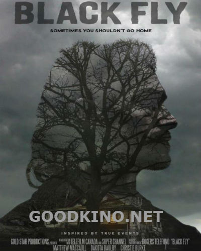Мошкара / Черные птицы (2014) Мошкара / Черные птицы (2014)