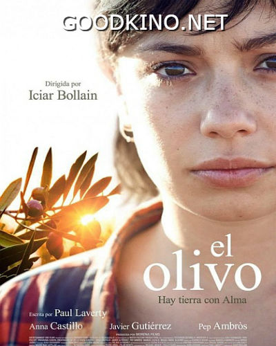 Олива (2016) Олива (2016)