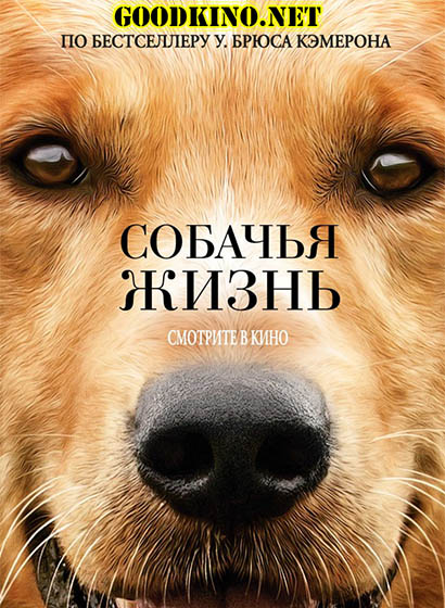 Собачья жизнь (2017) Собачья жизнь (2017)
