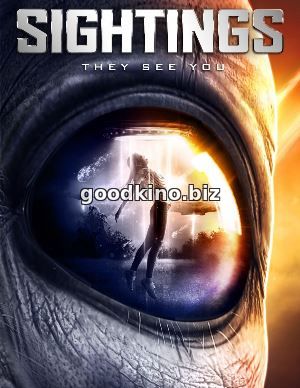 Наблюдения / Sightings (2017) Наблюдения / Sightings (2017)