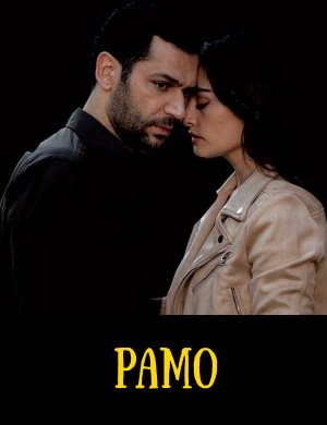 Рамо Рамо 1-40 серия