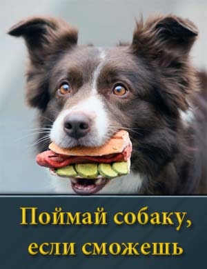 Поймай собаку, если сможешь фильм 2024