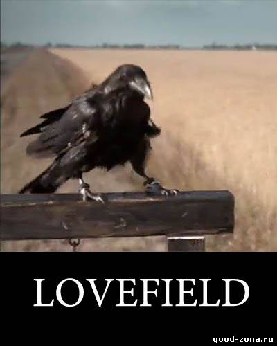Поле любви / Lovefield Поле любви / Lovefield