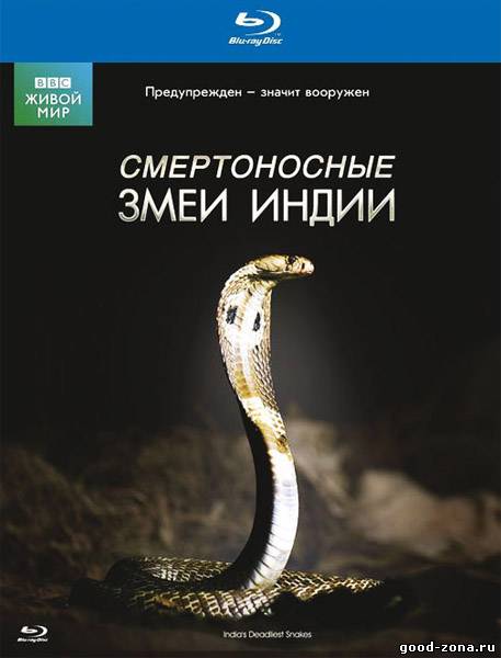 BBC: Живой мир - Смертоносные змеи Индии BBC: Живой мир - Смертоносные змеи Индии