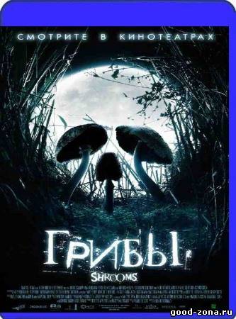 Грибы Грибы