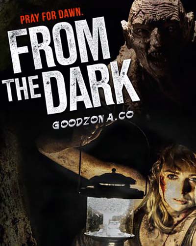 Из темноты / From the Dark (2014) Из темноты / From the Dark (2014)